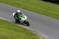 PJ-Motorsport-2019;anglesey-no-limits-trackday;anglesey-photographs;anglesey-trackday-photographs;enduro-digital-images;event-digital-images;eventdigitalimages;no-limits-trackdays;peter-wileman-photography;racing-digital-images;trac-mon;trackday-digital-images;trackday-photos;ty-croes